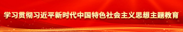 骚逼爆操视频学习贯彻习近平新时代中国特色社会主义思想主题教育